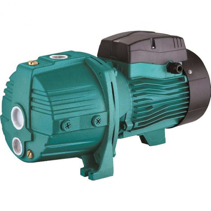 Насос LEO AJDM110/4H с внешним эжектором L2710